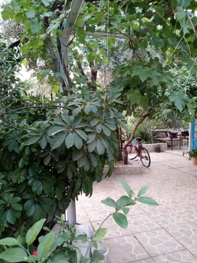 Eucalyptus Pension Patara Exterior foto