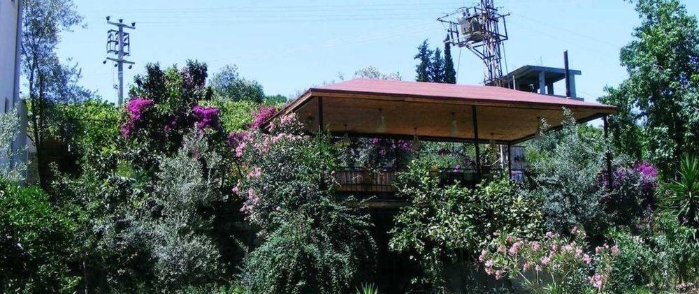 Eucalyptus Pension Patara Exterior foto